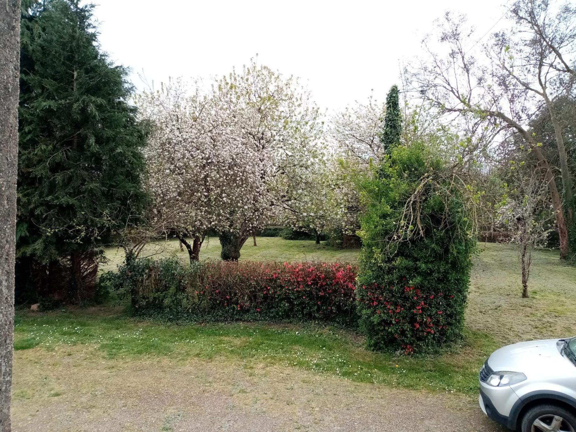 Chez Claudine Villa Peaule Exterior photo